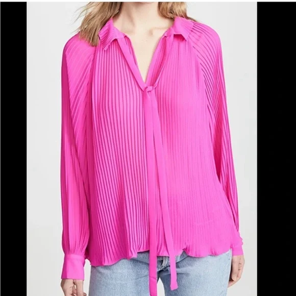 Endless Rose Pleated Chiffon Blouse - Picture 4 of 15